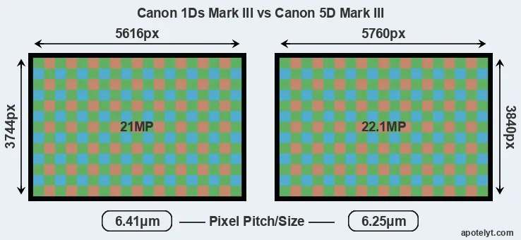 1Ds Mark III versus 5D Mark III MP
