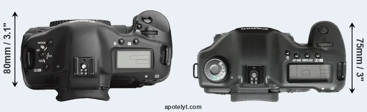 Compare 1Ds Mark III versus 5D top