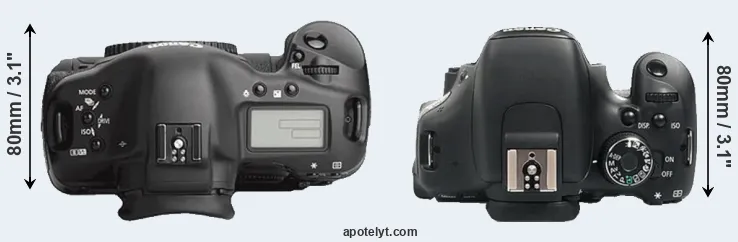 Compare 1Ds Mark III versus 600D top