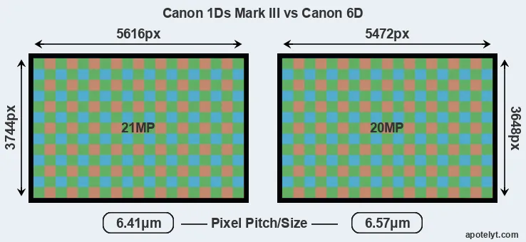 1Ds Mark III versus 6D MP