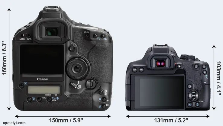 Comparison 1Ds Mark III or 850D rear