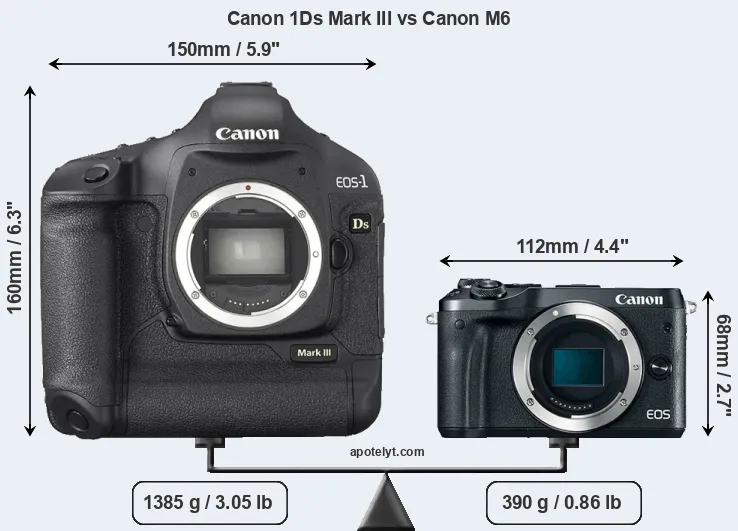 Size Canon 1Ds Mark III vs Canon M6