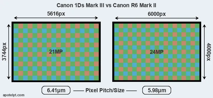 1Ds Mark III versus R6 Mark II MP
