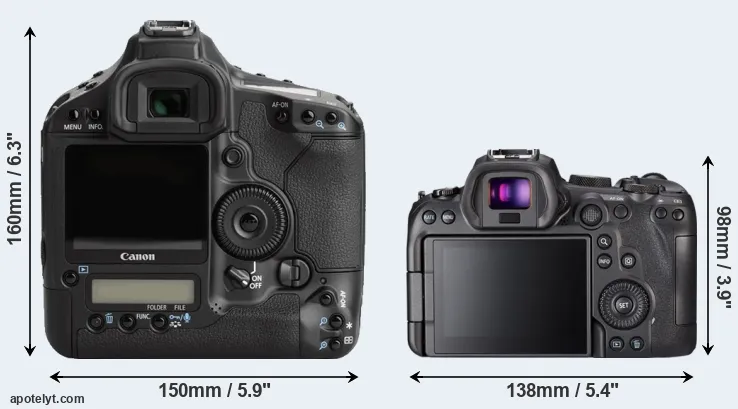 Comparison 1Ds Mark III or R6 rear