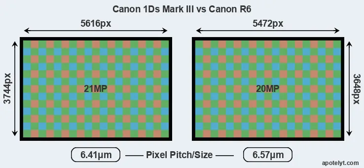 1Ds Mark III versus R6 MP