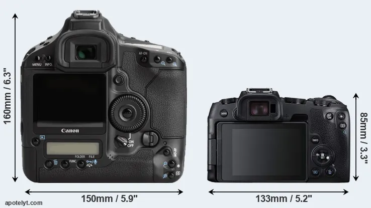 Comparison 1Ds Mark III or RP rear