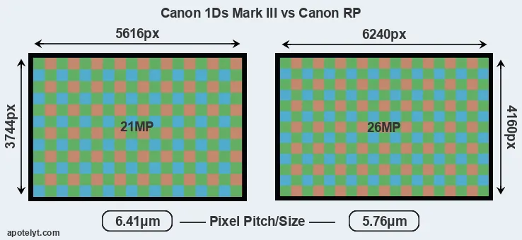 1Ds Mark III versus RP MP