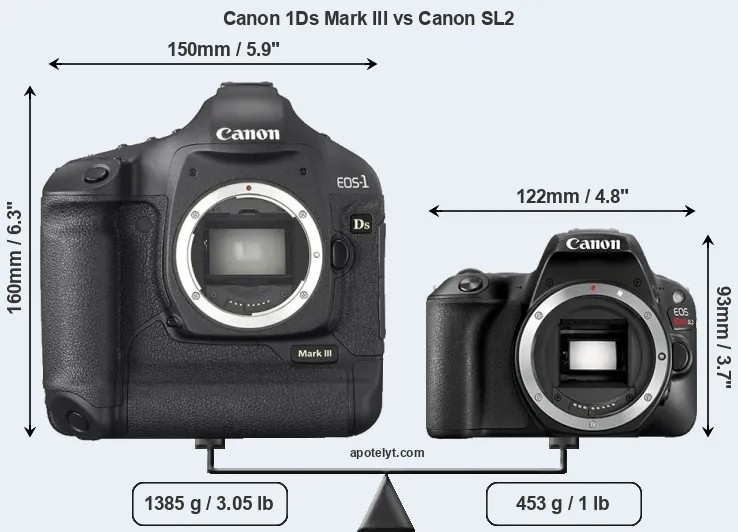 Size Canon 1Ds Mark III vs Canon SL2