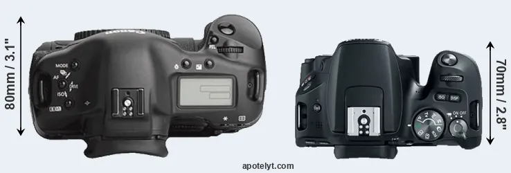 Compare 1Ds Mark III versus SL2 top