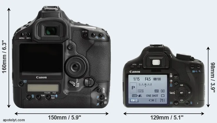 Comparison 1Ds Mark III or T1i rear