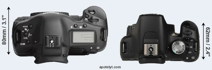 Compare 1Ds Mark III versus T1i top