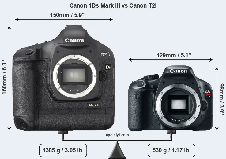 Size Canon 1Ds Mark III vs Canon T2i