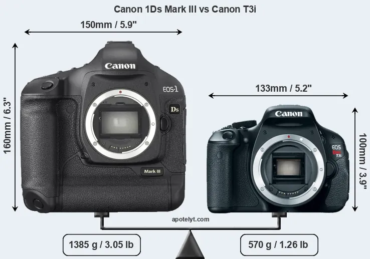 Size Canon 1Ds Mark III vs Canon T3i