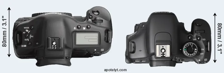 Compare 1Ds Mark III versus T3i top