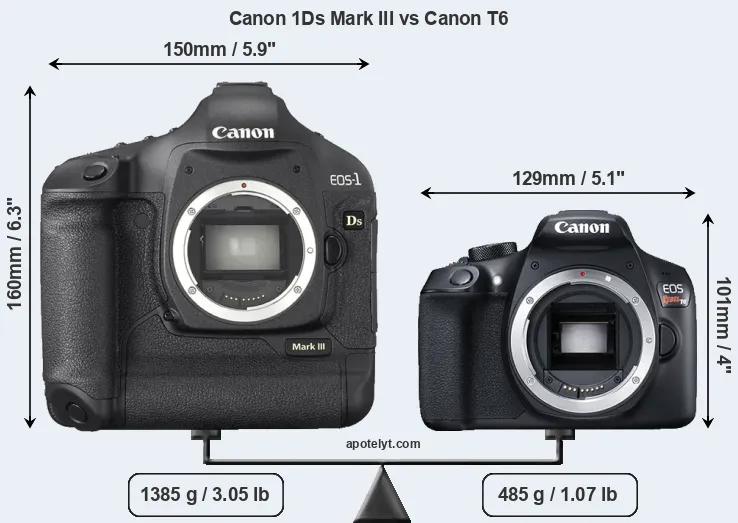 Size Canon 1Ds Mark III vs Canon T6