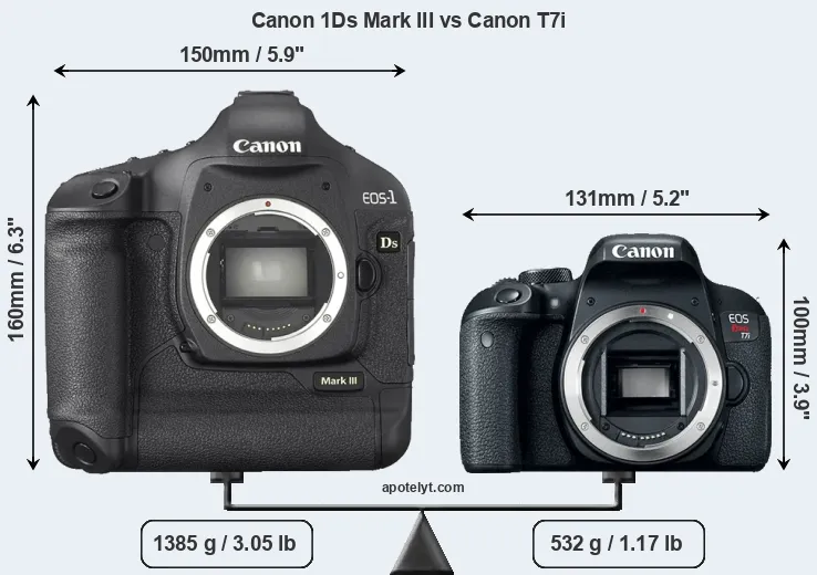 Size Canon 1Ds Mark III vs Canon T7i