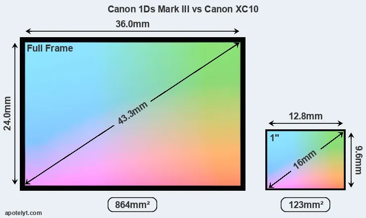 Canon 1Ds Mark III and Canon XC10 sensor measures
