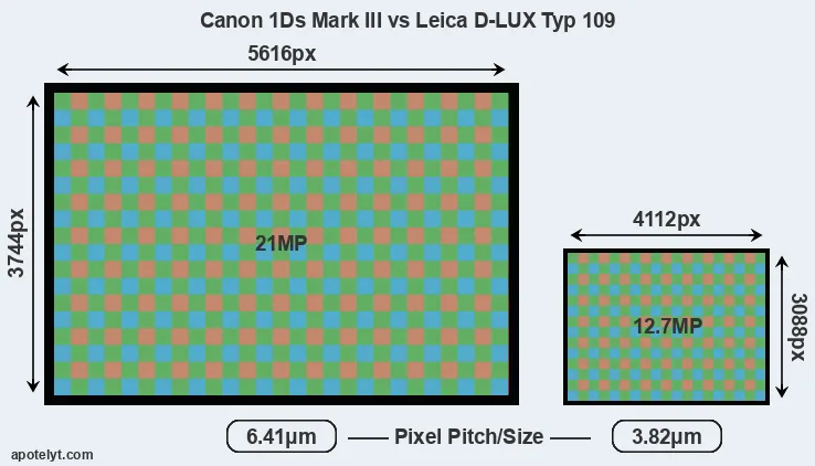1Ds Mark III versus D-LUX Typ 109 MP