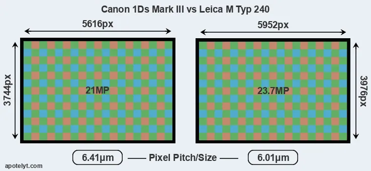 1Ds Mark III versus M Typ 240 MP