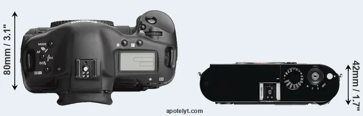 Compare 1Ds Mark III versus M Typ 240 top