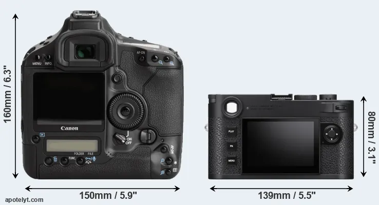 Comparison 1Ds Mark III or M11 rear