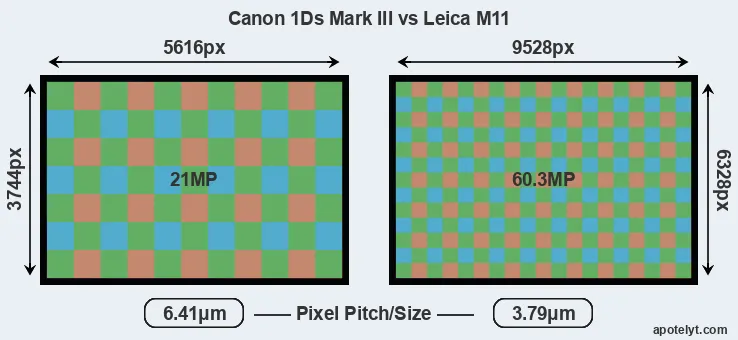 1Ds Mark III versus M11 MP