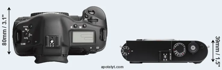 Compare 1Ds Mark III versus M11 top