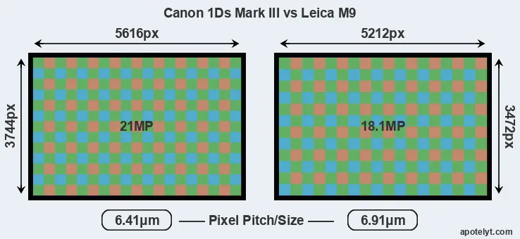 1Ds Mark III versus M9 MP