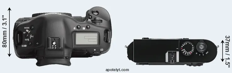 Compare 1Ds Mark III versus M9 top