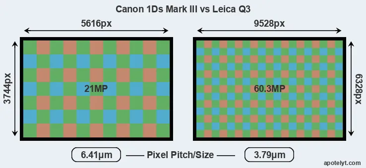 1Ds Mark III versus Q3 MP