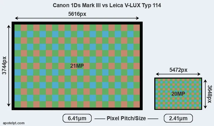 1Ds Mark III versus V-LUX Typ 114 MP