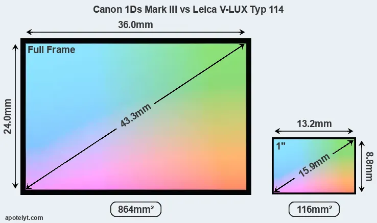 Canon 1Ds Mark III and Leica V-LUX Typ 114 sensor measures