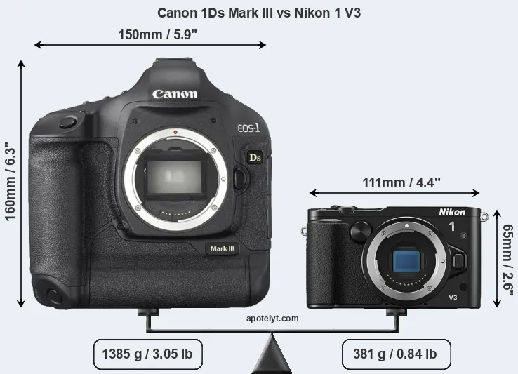 Size Canon 1Ds Mark III vs Nikon 1 V3