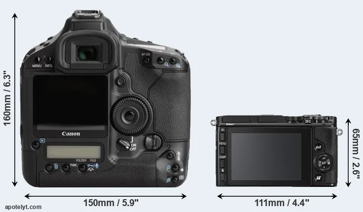 Comparison 1Ds Mark III or V3 rear