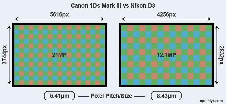 1Ds Mark III versus D3 MP