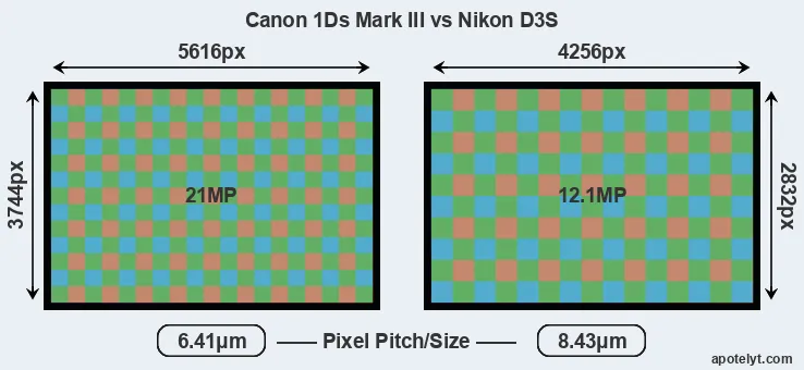 1Ds Mark III versus D3S MP