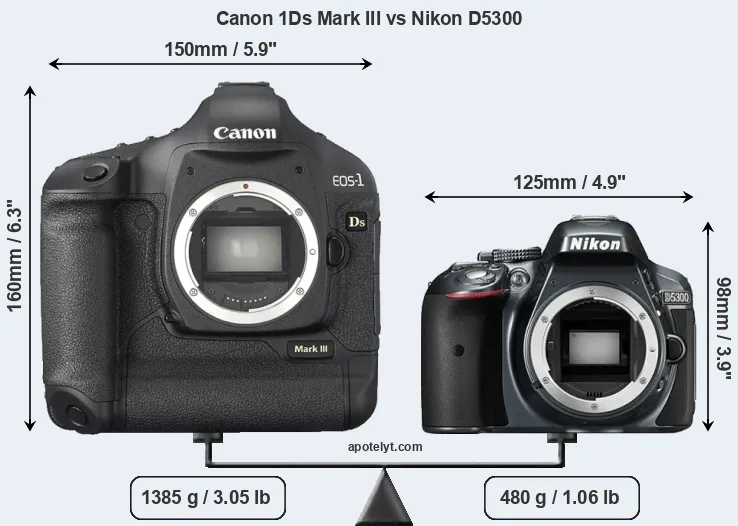 Size Canon 1Ds Mark III vs Nikon D5300