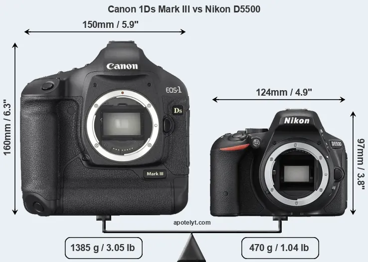 Size Canon 1Ds Mark III vs Nikon D5500