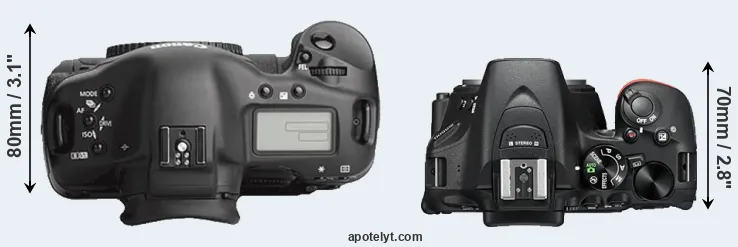 Compare 1Ds Mark III versus D5500 top