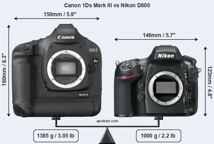 Size Canon 1Ds Mark III vs Nikon D800