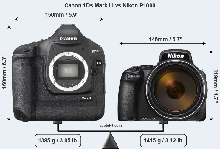 Size Canon 1Ds Mark III vs Nikon P1000