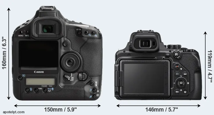 Comparison 1Ds Mark III or P1000 rear