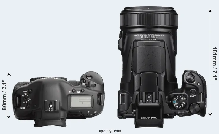 Compare 1Ds Mark III versus P1000 top