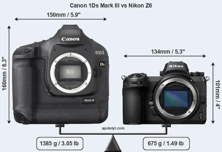 Size Canon 1Ds Mark III vs Nikon Z6