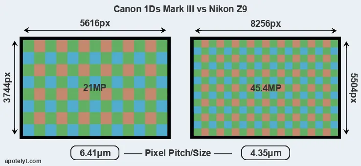 1Ds Mark III versus Z9 MP