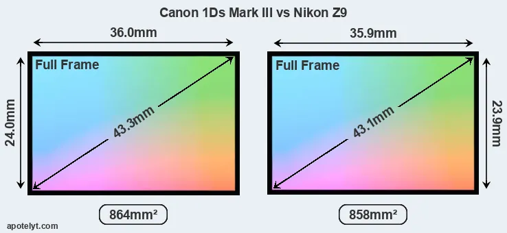 Canon 1Ds Mark III and Nikon Z9 sensor measures