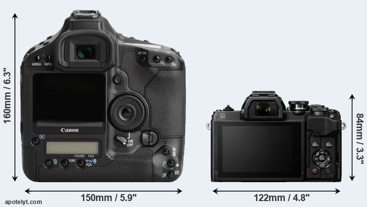 Comparison 1Ds Mark III or E-M10 IV rear