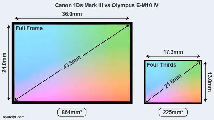 Canon 1Ds Mark III and Olympus E-M10 IV sensor measures