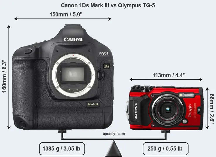 Size Canon 1Ds Mark III vs Olympus TG-5