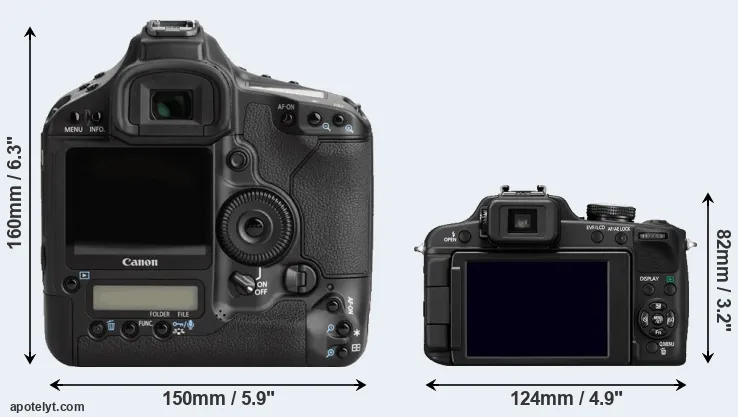 Comparison 1Ds Mark III or FZ100 rear